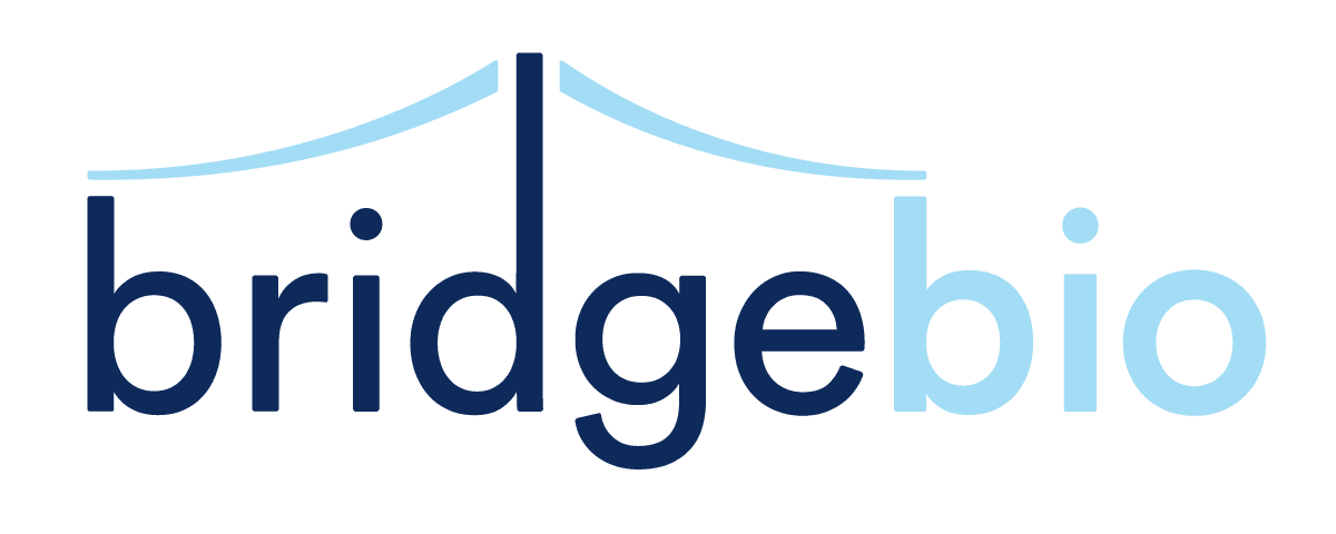 client logo bridge bio
