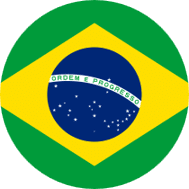 Brazil Button Flag