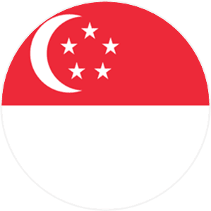 シンガポール国旗アイコン