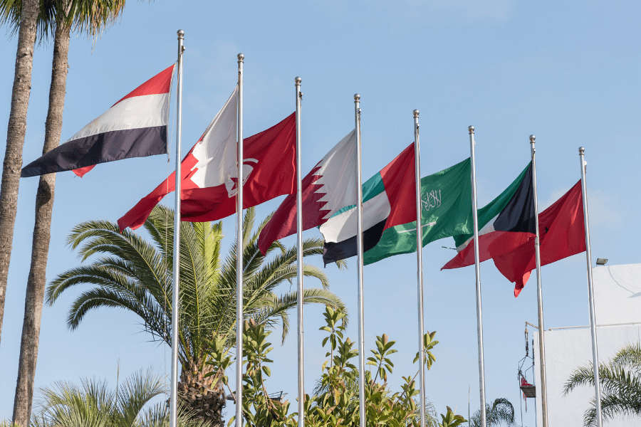 MENA Magnet: Top 8 Reasons Multinational Companies Are Flocking to the Region
