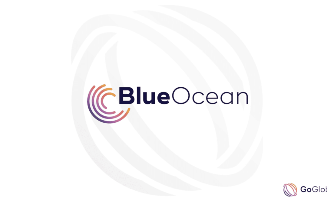 Dive into BlueOcean: Global HR Management Made Easy